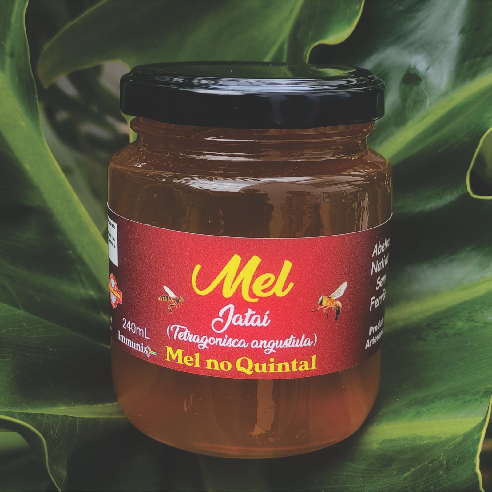 Mel produzido no quintal