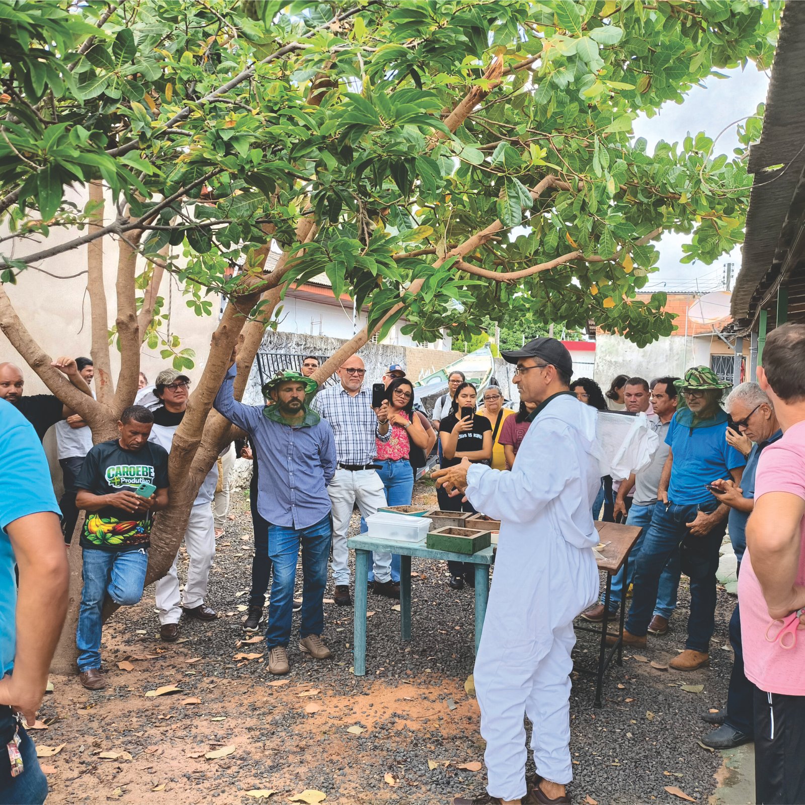 Palestras e consultorias