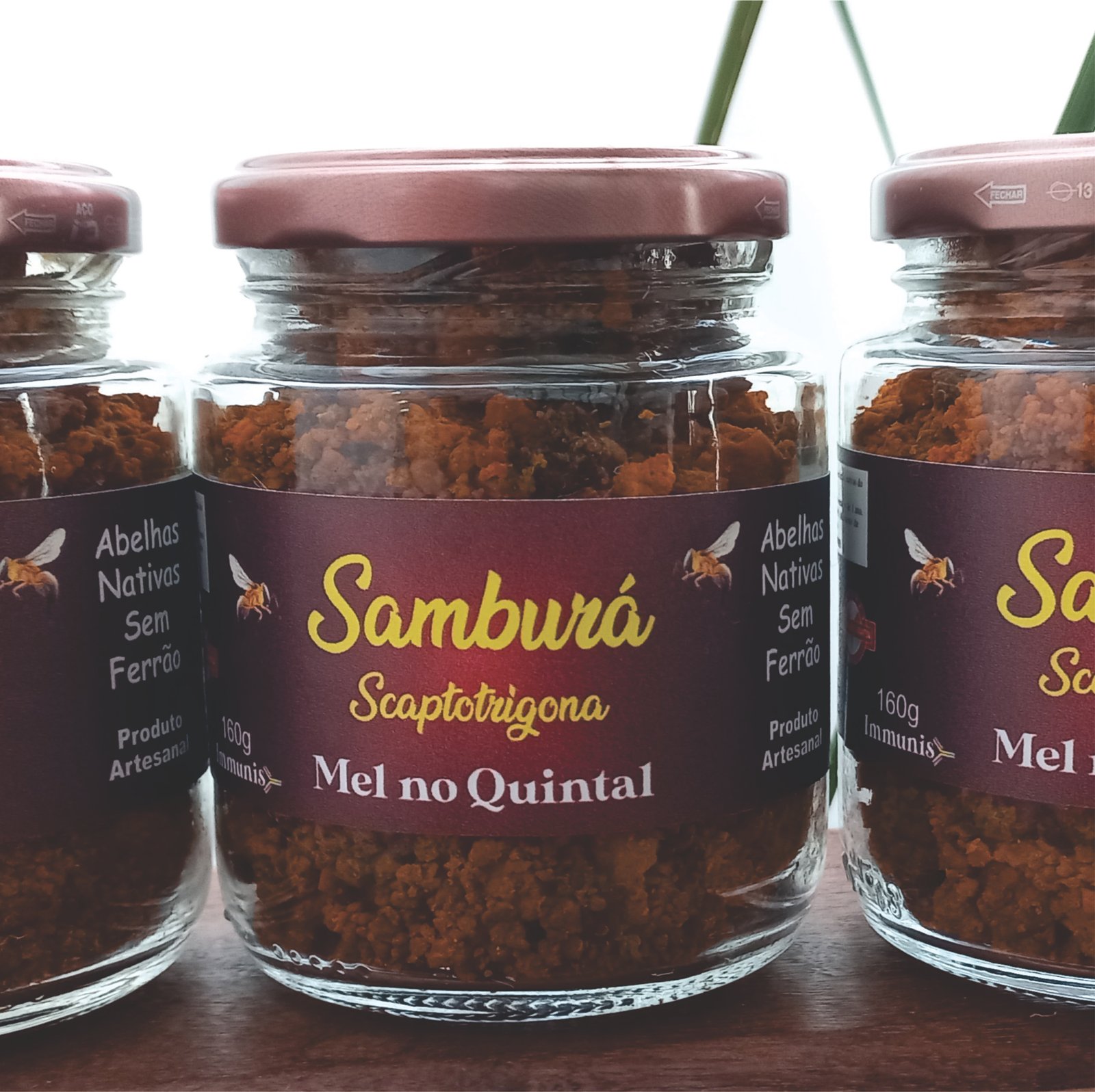 Samburá
